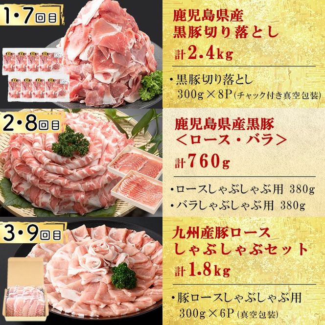 【定期便全12回】豚肉堪能定期便(12ヶ月連続・総量22.8kg以上) t0176-001