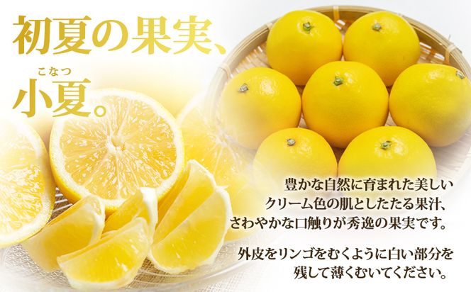 小夏 【2027年3月より順次配送】小夏(日向夏) 高知県 5kg 甘酸っぱさがギュッと詰まった ku-0049