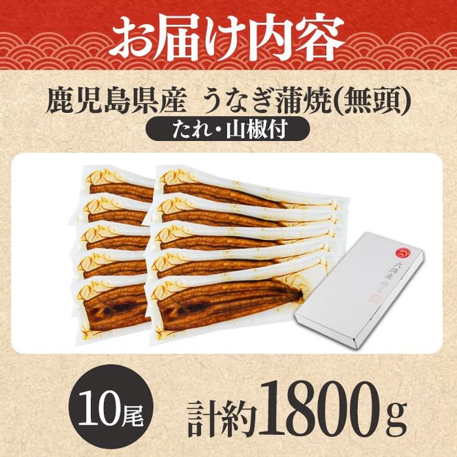 【0634364a】東串良町のうなぎ蒲焼(無頭)(10尾・計約1,800g・タレ、山椒付)うなぎ 高級 ウナギ 鰻 国産 蒲焼 蒲焼き たれ 鹿児島 ふるさと 人気【アクアおおすみ】