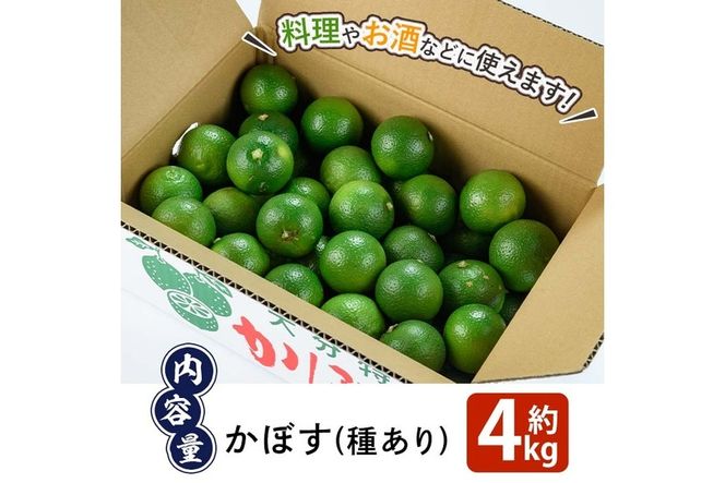 かぼす4kg(種あり) フルーツ 果物 柑橘 道の駅やよい 期間限定 大分県 佐伯市 【EN15】【道の駅やよい】