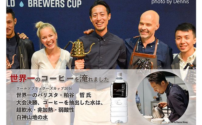 【ふるプレ限定品】地の水 500ml×24本 ナチュラルウォーター 飲料水 軟水 超軟水 非加熱 弱酸性 湧水 湧き水 水 ウォーター ペットボトル 青森県 鰺ヶ沢町 国産 飲料類 ミネラルウォーター 