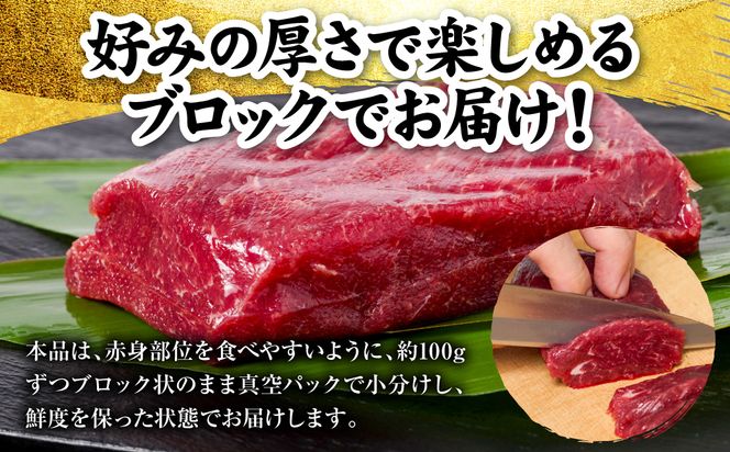 国産 熊本肥育 赤身 馬刺し 合計300g （100g×3パック） 馬肉 刺し身 刺身 新鮮 ヘルシー おつまみ 晩酌 贈り物 真空パック ブロック 冷凍 熊本県 八代市
