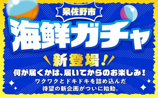 gacha015 【期間限定】泉佐野 海鮮ガチャ（寄附10,000円コース）【海鮮 えび 鮭 サーモン しらす 刺身 普段使い お楽しみ 翌月以降】