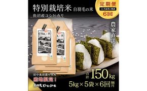 【通年受付】≪令和8年産≫【定期便／1ヶ月おき全6回】農家直送！魚沼産コシヒカリ特別栽培「白羽毛の米」精米(5kg×5袋)×6回 150kg お米 白米 ご飯