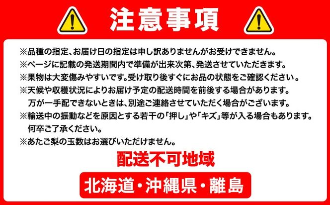 【2026年先行予約】【4回定期便】ぶどう 梨 岡山のフルーツ定期便 4回コース 岡山県産 シャインマスカット 晴王 ニューピオーネ 紫苑 あたご 株式会社山博《2026年9月上旬-12月末頃出荷》岡山県 笠岡市 フルーツ 果物 ぶどう あたご梨 マスカット お取り寄せ【配送不可地域あり】---Y-41a---