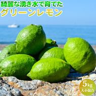 EA6044n_【2026年先行予約】綺麗な湧き水で育てた グリーンレモン 5kg (大小混合)