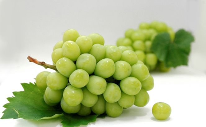 【 小豆島 】島育ち！ハウスシャインマスカット　2房入り 約1.1kg 果物類 ぶどう フルーツ 果物 