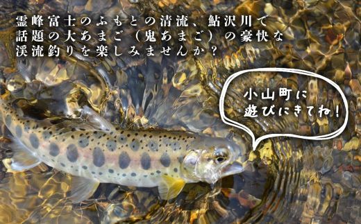 鮎沢川あまご釣り「年券」 高校生　※着日指定不可
