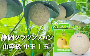 クラウンメロン【上（山等級）】中玉（1.3kg前後）1玉入り 人気 厳選 ギフト 贈り物 デザート グルメ 果物 袋井市 果物類 メロン青肉 フルーツ