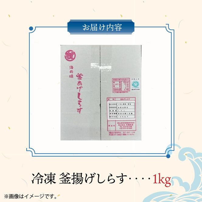 冷凍釜揚げしらす１kg_H6021