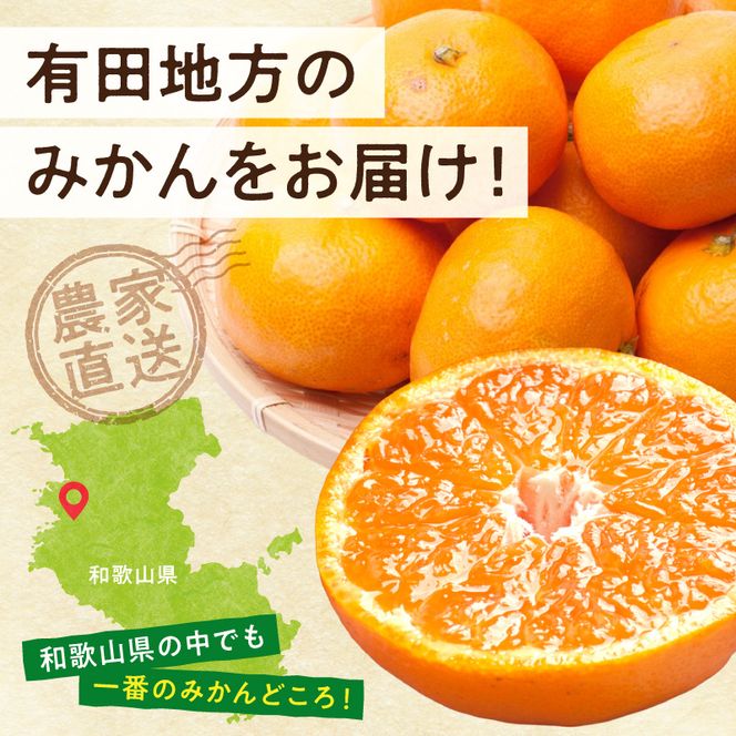 《2026年11月上旬～2027年1月下旬頃に順次発送》【2026年先行予約】厳選 完熟有田みかん約7.5kg+250g（傷み補償分）【光センサー選果】_ZH7060