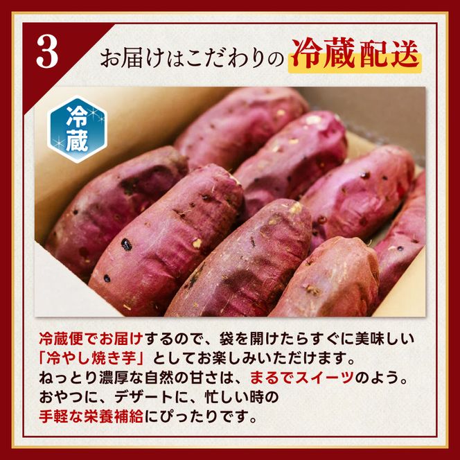 【人気返礼品】鹿島焼芋 純 1.5kg【冷蔵 ひやし 焼き芋 やきいも さつまいも 芋 お菓子 おやつ デザート スイーツ 和菓子 和スイーツ 鹿嶋市 茨城県】（KBK-8-2）
