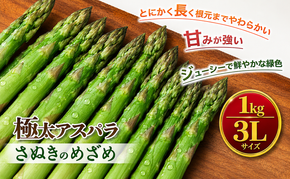 期間限定！極太アスパラ 【さぬきのめざめ1kg】  3Lサイズ 野菜セット 野菜 アスパラガス 