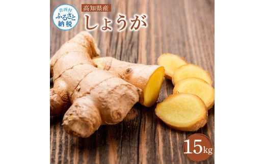 【CF-R7hbk】YTY007　高知県産 生姜 15kg 土佐一 お取り寄せ まとめ買い 大量 美味しい 健康 野菜 ジンジャー おかず 料理 生姜焼き しょうが湯 薬味 故郷納税