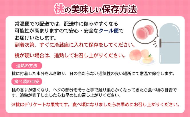 桃 讃岐の太陽育ち 5～10玉 1.8kg 旬の桃 もも モモ ピーチ フルーツ 果物 くだもの 果実 旬の果物 旬のフルーツ 香川 香川県 東かがわ市