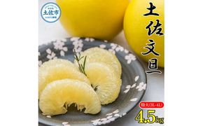 【先行予約】土佐文旦 特大(3L～4L) サイズ 約4.5kg 〈2027年2月〜発送〉 大玉 ぶんたん ブンタン 果物 くだもの 柑橘 フルーツ お取り寄せ 高知県 土佐市【株式会社種田農園】 [BQBW008]
