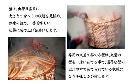 【1月11日～3月31日発送】石川県産 加能かに ズワイガニ ( 産地証明タグ付 ) 茹で上げ前重量 約900g 1匹 特大サイズ F6P-3460