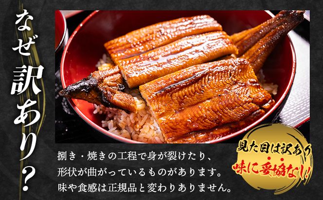 うなぎ 蒲焼き 2尾 計400ｇ 高知県産 鰻 フジ物産 国産 養殖 fb-0206