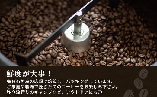 石垣島産コーヒー豆MIXブレンド ドリップパック10個と焙煎豆100g×4袋セット IW-3 【沖縄県石垣市 沖縄 沖縄県 琉球 八重山 八重山諸島 石垣 石垣島 送料無料 コーヒー チャンプルー コロンビア グアテマラ エチオピア 豆 コーヒー豆 ドリップ 農産物 高級コーヒー】