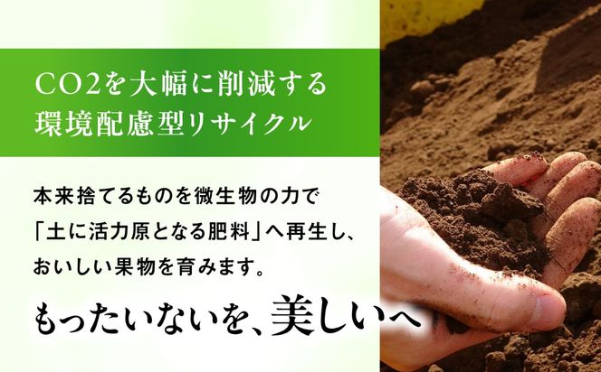 【先行受付】【糖度18度以上】 糸島産 シャインマスカット 2kg 【2026年8月中旬より順次発送】糸島市 / 和饗エコファーム フルーツ 果物[AVI007] シャインマスカット マスカット ぶどう ブドウ フルーツ 果物 甘い 高糖度