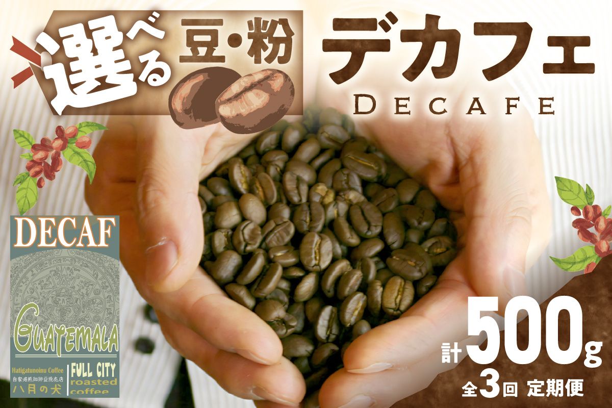 [定期便全3回][デカフェ]自家焙煎 グアテマラ カフェインレスコーヒー豆 500g(250g×2) 2カ月に1回×3回お届け 八月の犬 珈琲豆 ドリップ マタニティー