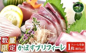 かぼすブリ フィーレ (1枚:約1kg) 期間限定 鰤 ブリ フィーレ 半身 魚 魚介類 養殖 大分県産 大分県 佐伯市【EW032】【Up】