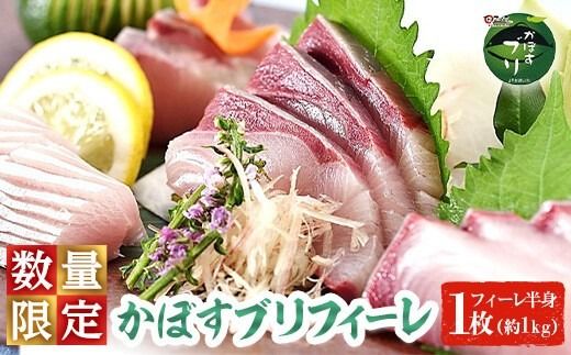 �y�啪�������s�z���ڂ��u�� �t�B�[�� (1��:��1kg) ���Ԍ��� �� �u�� �t�B�[�� ���g �� ����� �{�B �啪���Y �啪�� �����s�yEW032�z�yUp�z