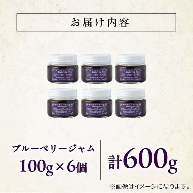 【12161】贅沢な国産ブルーベリージャム(100g×6個・計600g)ジャム 瓶 果物 果実 フルーツ パン【村山製油】