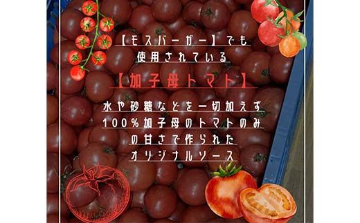 加子母トマトのマルゲリータとイタリアマルゲリータ ピザ食べ比べセット F4N-1170