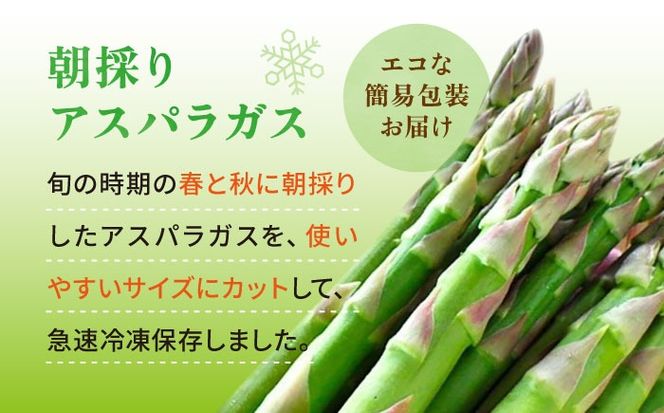 アスパラガス 800g 冷凍 カット済み 旬の時期に急速冷凍 【福岡県糸島産】 糸島市 / オーガニックナガミツファーム 野菜 アスパラ[AGE050]