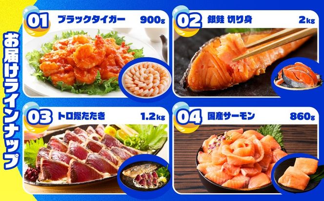 gacha015 【期間限定】泉佐野 海鮮ガチャ（寄附10,000円コース）【海鮮 えび 鮭 サーモン しらす 刺身 普段使い お楽しみ 翌月以降】
