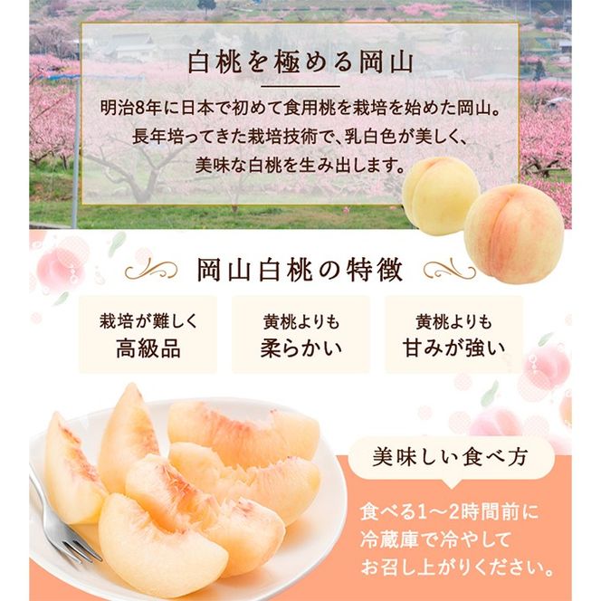 桃 2026年 先行予約 白桃 5玉 (1.5kg以上) 等級：ロイヤル 木箱入り もも モモ 岡山県産 国産 フルーツ 果物 セット ギフト [№5735-2003]