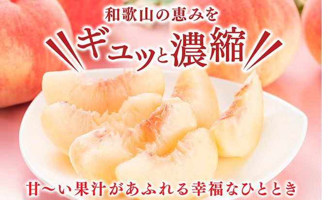 桃先行受付!　桃の王様【白鳳】　特秀品　食べきりやすい3個入り