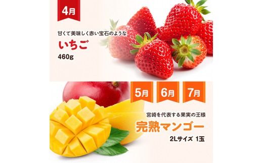  果物 【 全6回定期便 】 【いいとこどり】 大人気 くだもの 定期便 【 国産 川南町産 いちご 完熟 マンゴー ぶどう ビオーネ シャイン マスカット 】 ☆ [D11704t6]