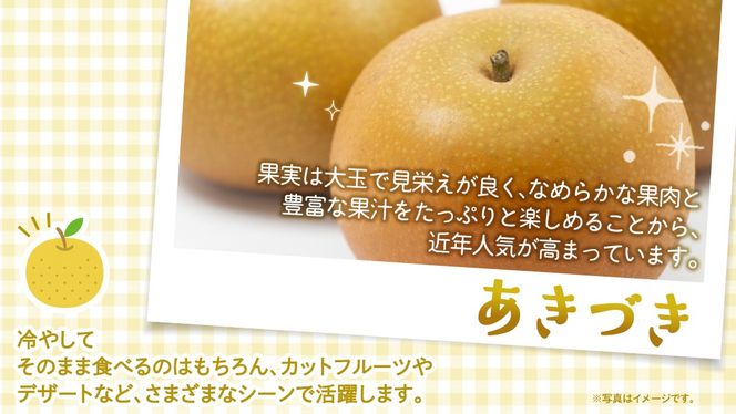 ＼ 選べる内容量 ／ あきづき 梨 約3kg / 約5kg / 約10kg 【2026年10月より発送開始】（茨城県共通返礼品 [梨]：大子町産） なし 旬 お取り寄せ フルーツ 甘い ジューシー 和梨 時期 秋月