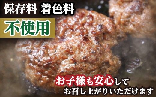 近江牛100％【無添加】食べ応え抜群！超あらびきワイルドハンバーグ1.2kg（約120g×10個）【FO19W】