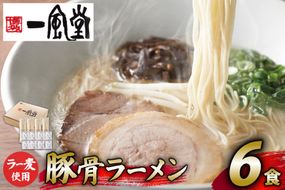 ラーメン 一風堂 とんこつラーメン 白丸 ラー麦麺 スープ 6食 セット [地域商社ふるさぽ 福岡県 筑紫野市 21761445] 博多 福岡 らーめん ラー麦 とんこつ 豚骨 博多ラーメン 豚骨ラーメン 白丸ラーメン
