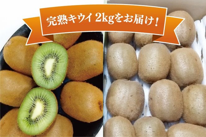 【先行予約】【12月上旬より発送開始】春日部完熟キウイ2kg【埼玉県 春日部市 キウイ キウイフルーツ 2kg 完熟 国産 フルーツ 果物 ヘイワード】(BG004）
