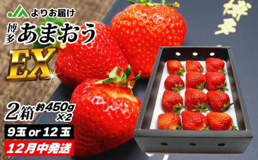 【先行予約】12月発送！「博多あまおう」EX　贈答用化粧箱　約450g 2箱【ほたるの里】_HA0755