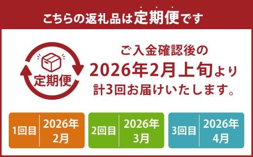 【3回定期便（2・3・4月発送）】博多あまおう 250g～270g × 2パック 【2026年2月上旬-4月下旬発送予定】 あまおう 果物 フルーツ 果実 苺 いちご イチゴ ストロベリー 完熟 新鮮 