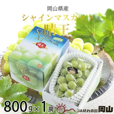 【2026年7月上旬より発送】岡山県産 シャインマスカット 晴王 800g×1房 ぶどう 葡萄 ブドウ フルーツ 果物