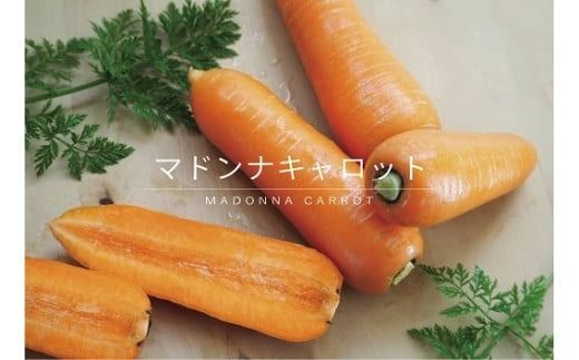 【福箱★2027】全2回お試し定期便　マドンナキャロット訳あり3キロと新玉ねぎ「旬玉」訳あり3キロ H105-278