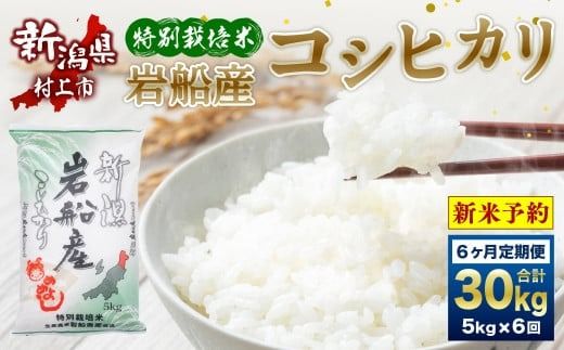 【新米受付・令和8年産米】新潟県村上市岩船産　特別栽培米コシヒカリ30kg（5kg×6ヶ月コース）1013012N　定期便 毎月 新米予約 お米 白米 こしひかり 精米 村上市