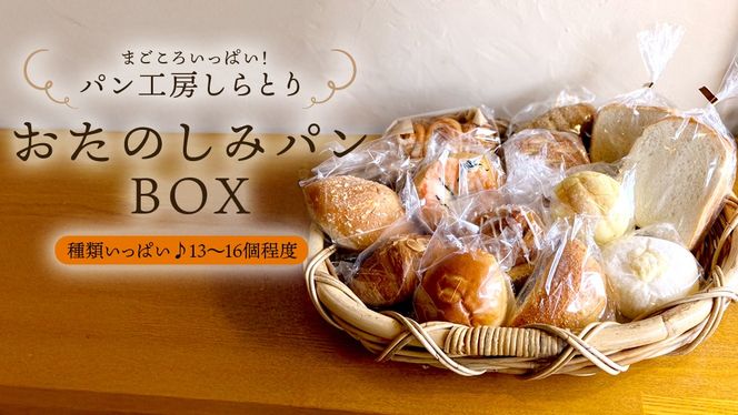 まごころいっぱい！ パン工房しらとり 「 種類いっぱい♪ 」 おたのしみパン ボックス 【B】 冷凍 パン 詰め合わせ ボックス ギフト お楽しみ [AU003ci]