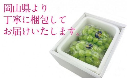 ぶどう 2026年 先行予約 9月・10月発送 シャイン マスカット 晴王 2房（合計約1.1kg） ブドウ 葡萄  岡山県産 国産 フルーツ 果物 ギフト デザート 食後 酸味が少ない 産地直送