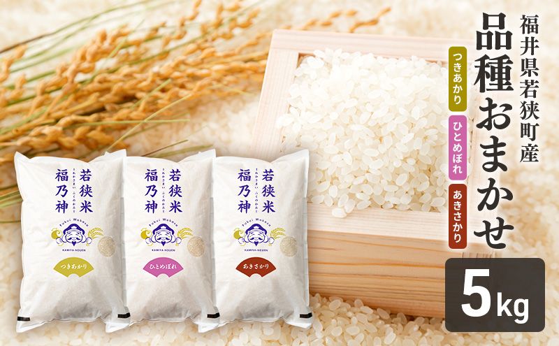 米 5kg 品種おまかせ 福井県産 若狭町産 産地直送 白米 精米 単一原料米 つきあかり ひとめぼれ あきさかり ブランド米 銘柄米 ごはん 5キロ 福井県 若狭町