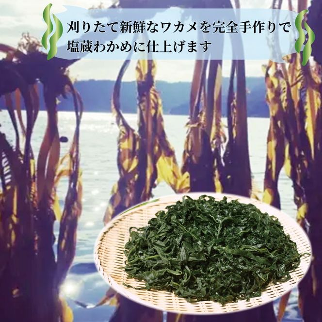 三陸わかめ 塩蔵わかめ 1kg (100×10パック) 冷凍 国産 [nakano002]