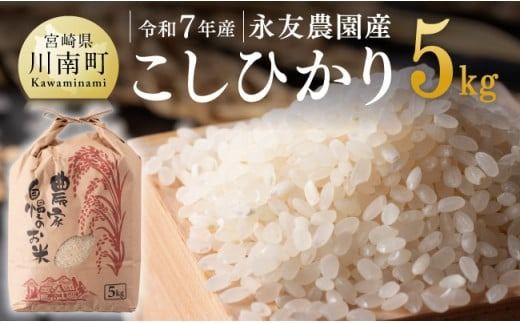 [令和7年産]永友農園産「こしひかり」5kg [ 米 お米 白米 精米 国産 宮崎県産 コシヒカリ ][C10602]