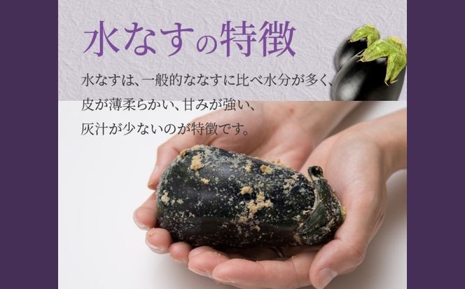 099H4573 水なす浅漬け 5個 水なす染めタオルハンカチセット【新鮮 野菜 泉佐野産 茄子 やさい 高評価 数量限定】