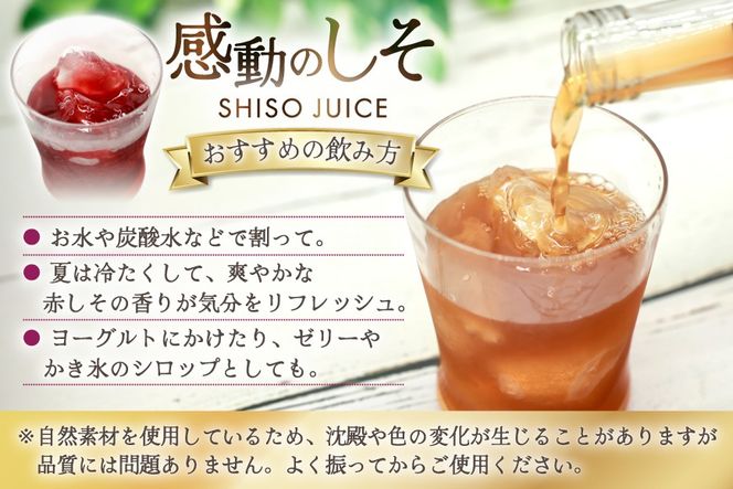 AJ310 感動の赤しそジュース 瓶 200ml 感動の青しそジュース 瓶 200ml 生姜シロップ 瓶 250ml 飲み比べセット [ しそジュース 紫蘇ジュース 赤しそ 青しそ 長崎県 島原市 ]